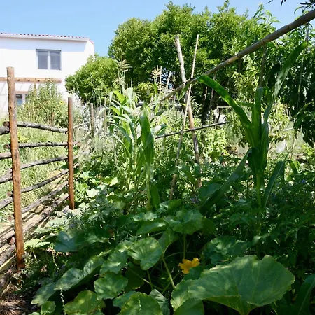 公寓 Horto Do 托马尔