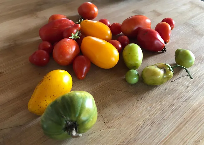 Апартаменты Horto Do