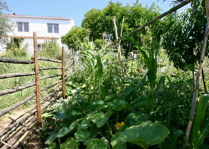 Apartman Horto Do Tomar