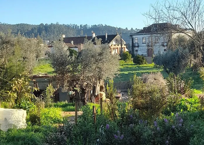 Апартаменты Horto Do